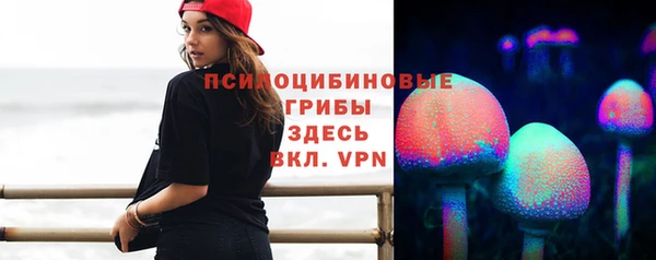 дживик Надым